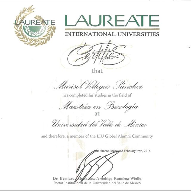 Ampliar imagen: certificate 5