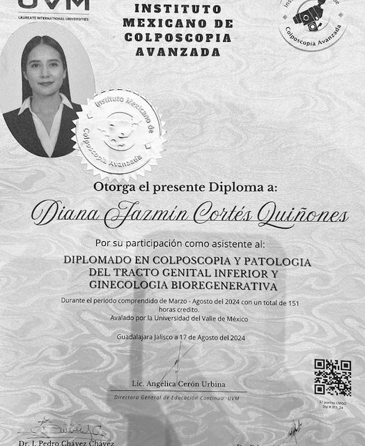 Ampliar imagen: certificate 4