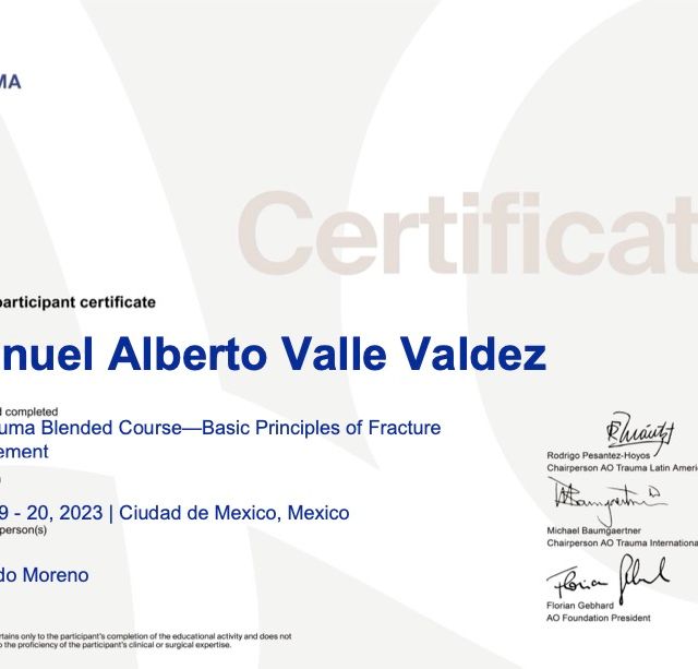 Ampliar imagen: certificate 2