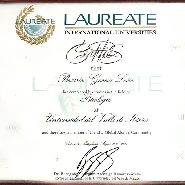 Ampliar imagen: certificate 8
