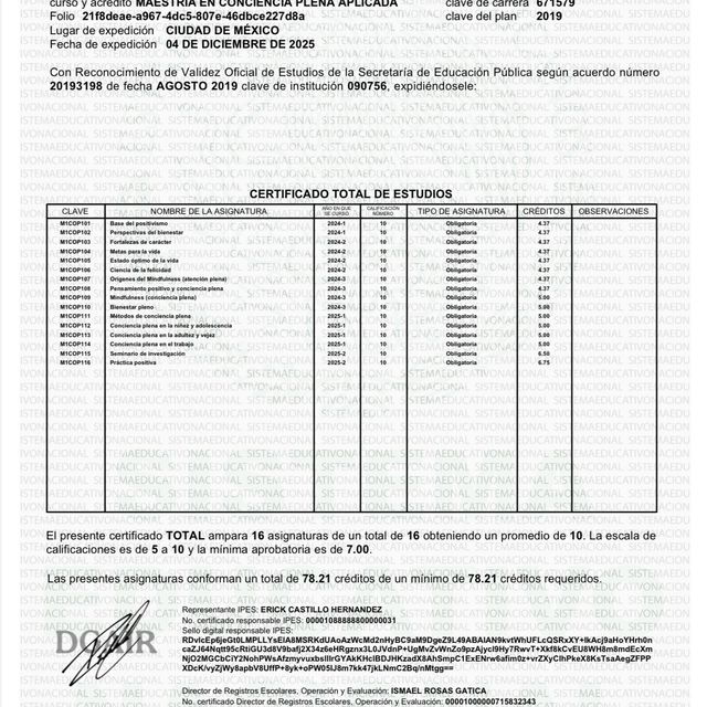 Ampliar imagen: certificate 1