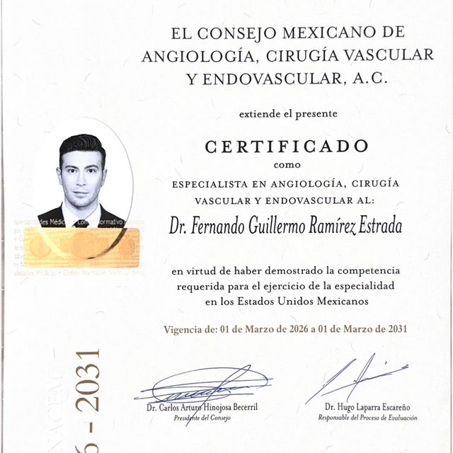Ampliar imagen: certificate 1