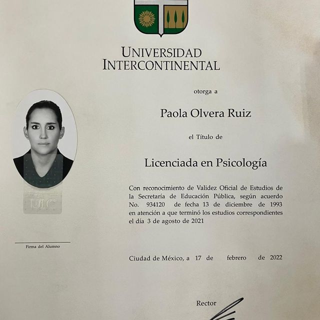 Ampliar imagen: certificate 3