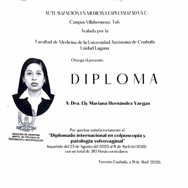Ampliar imagen: certificate 3