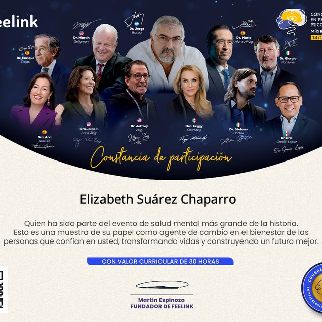 Ampliar imagen: certificate 10