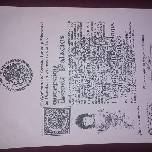 Ampliar imagen: certificate 9