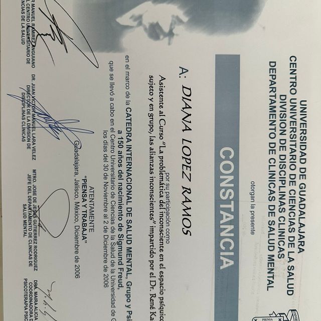 Ampliar imagen: certificate 4