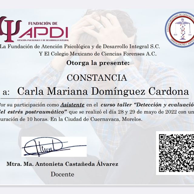 Ampliar imagen: certificate 2
