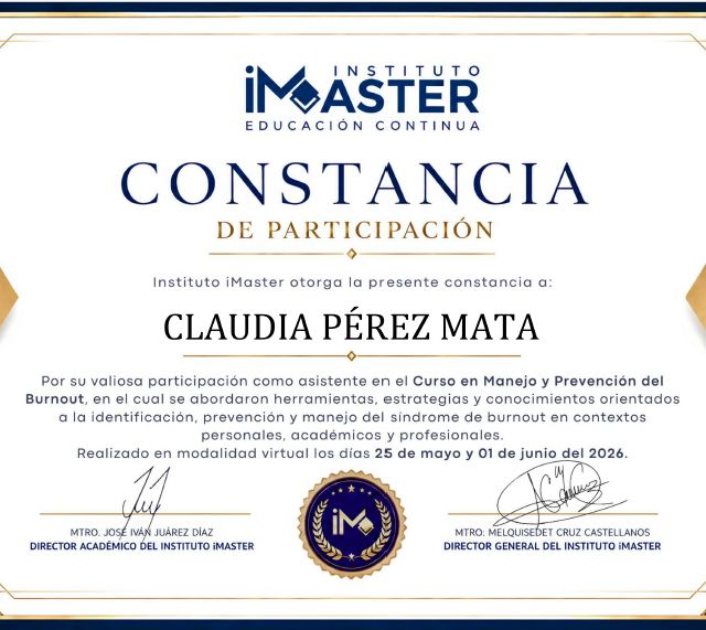 Ampliar imagen: certificate 3