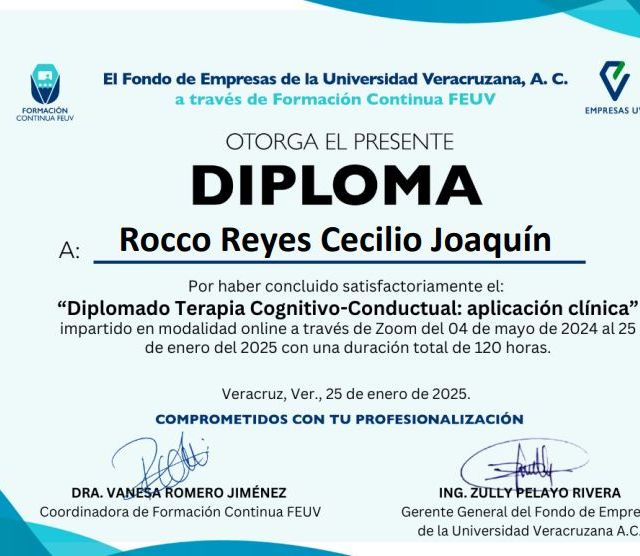 Ampliar imagen: certificate 2