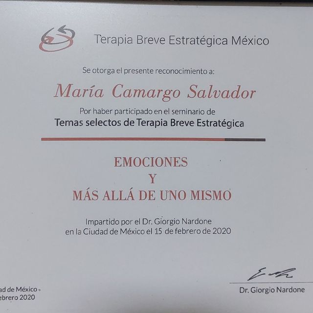 Ampliar imagen: certificate 24