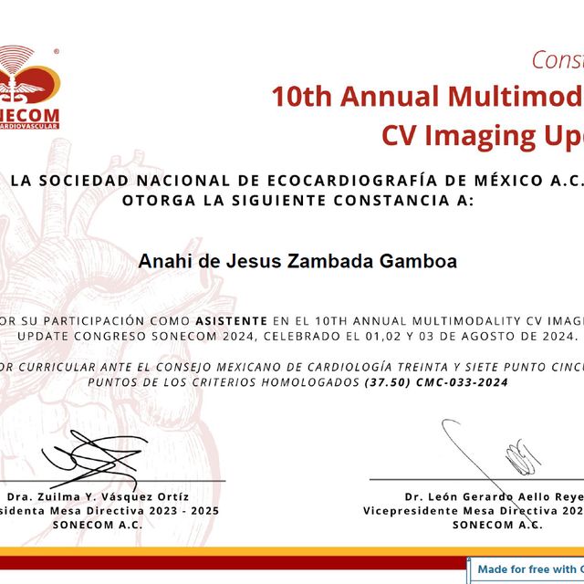 Ampliar imagen: certificate 2