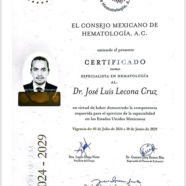 Ampliar imagen: certificate 4