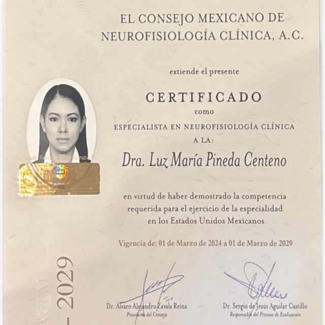 Ampliar imagen: certificate 2