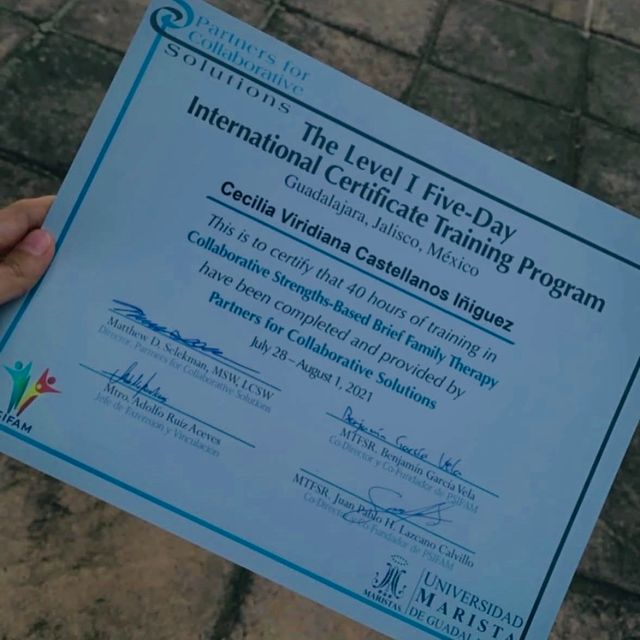 Ampliar imagen: certificate 2