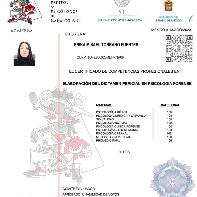 Ampliar imagen: certificate 1