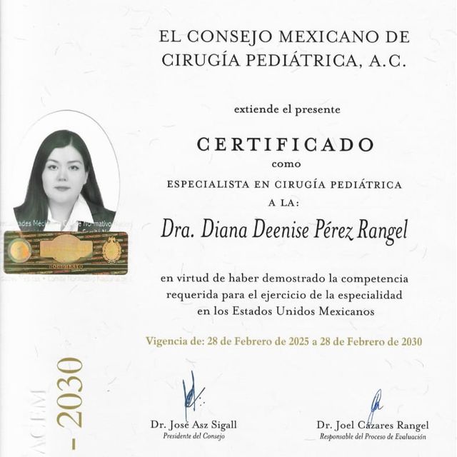 Ampliar imagen: certificate 3