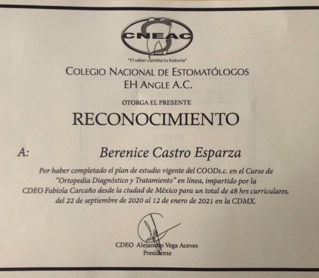 Ampliar imagen: certificate 8