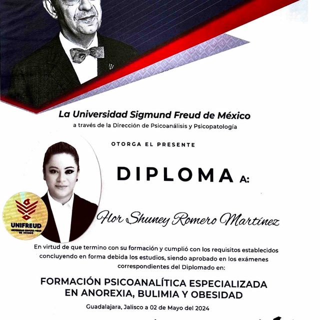 Ampliar imagen: certificate 1