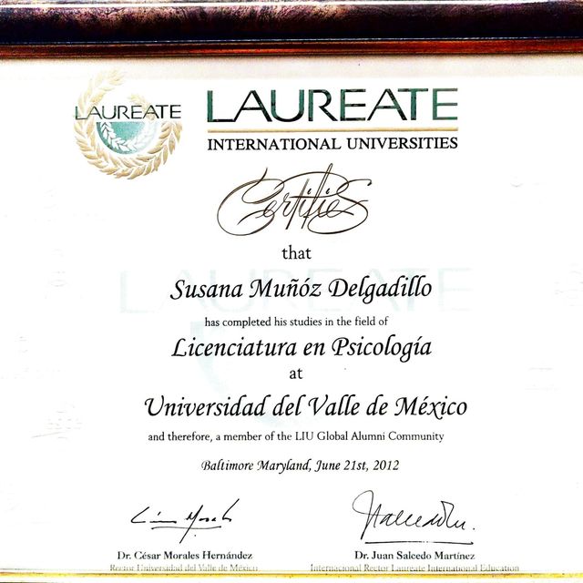 Ampliar imagen: certificate 7