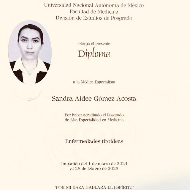 Ampliar imagen: certificate 3