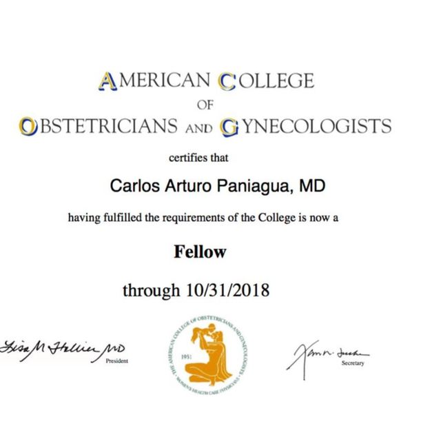 Ampliar imagen: certificate 3