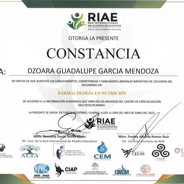 Ampliar imagen: certificate 1