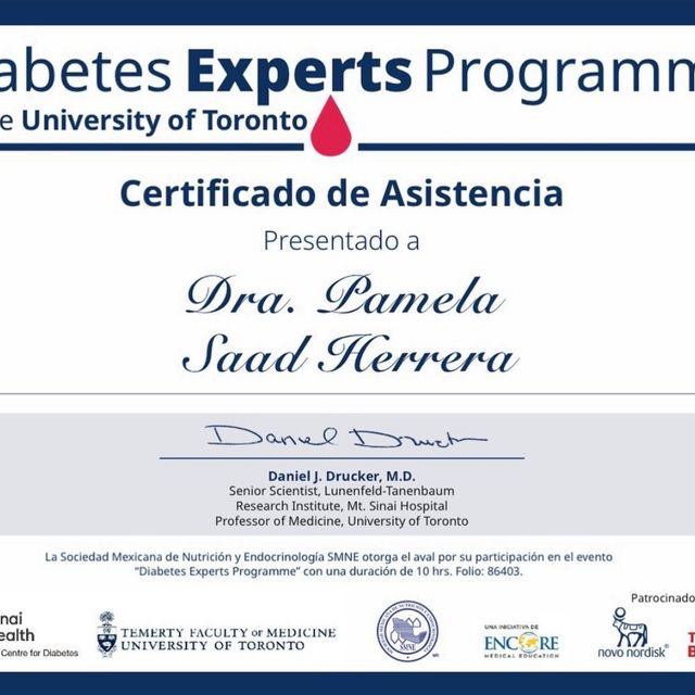 Ampliar imagen: certificate 5