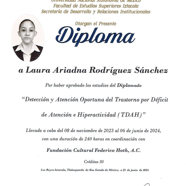 Ampliar imagen: certificate 6