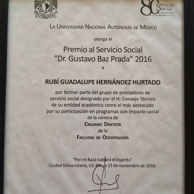 Ampliar imagen: certificate 1