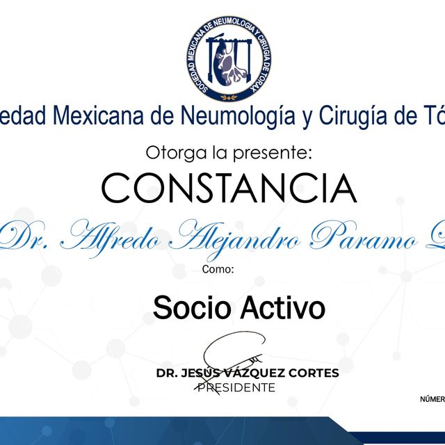 Ampliar imagen: certificate 5