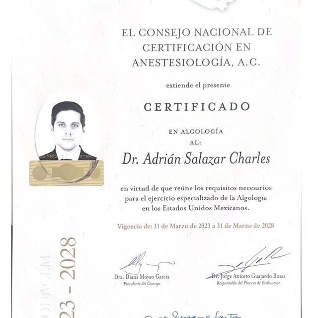 Ampliar imagen: certificate 1