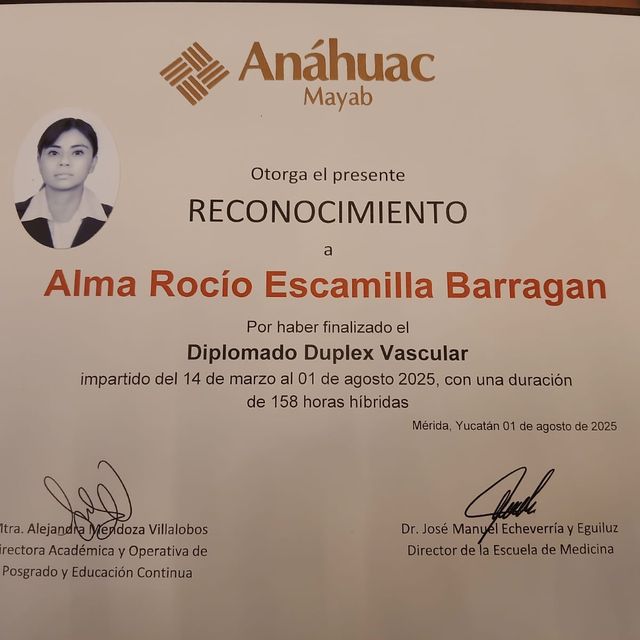 Ampliar imagen: certificate 15