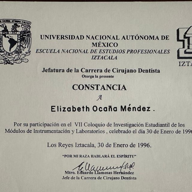 Ampliar imagen: certificate 12