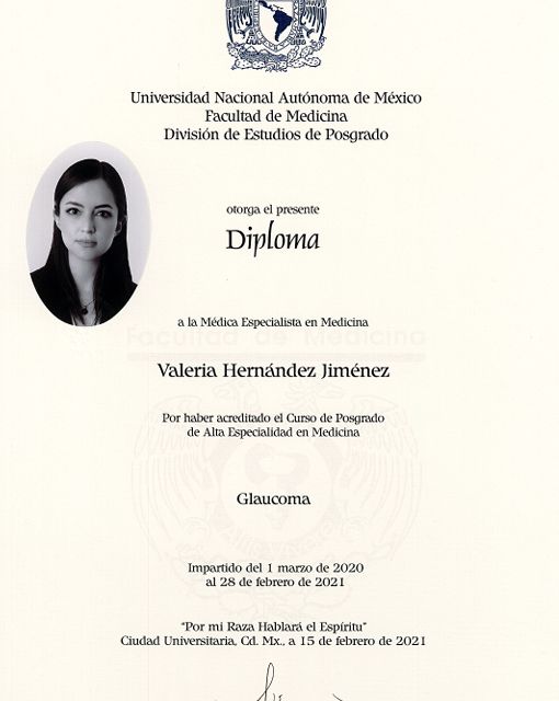 Ampliar imagen: certificate 3