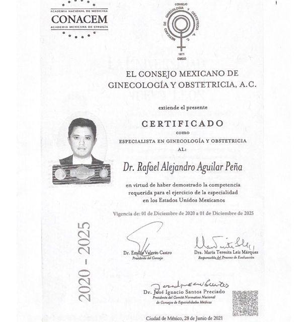 Ampliar imagen: certificate 1