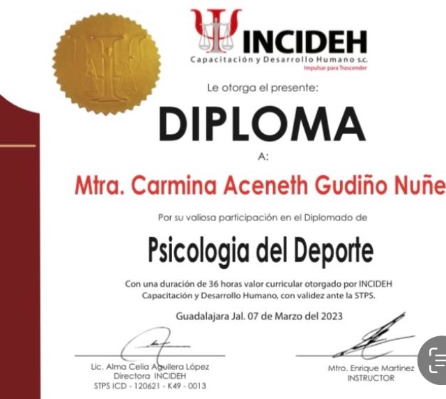 Ampliar imagen: certificate 7