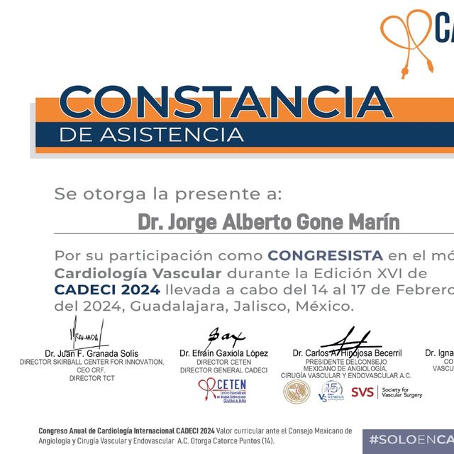 Ampliar imagen: certificate 13
