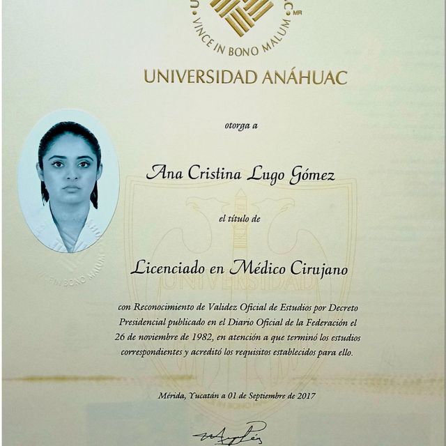 Ampliar imagen: certificate 1