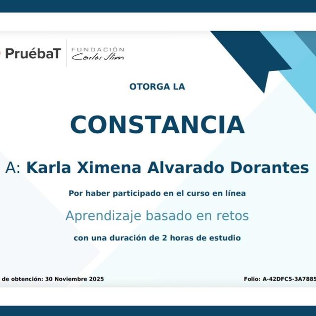 Ampliar imagen: certificate 17