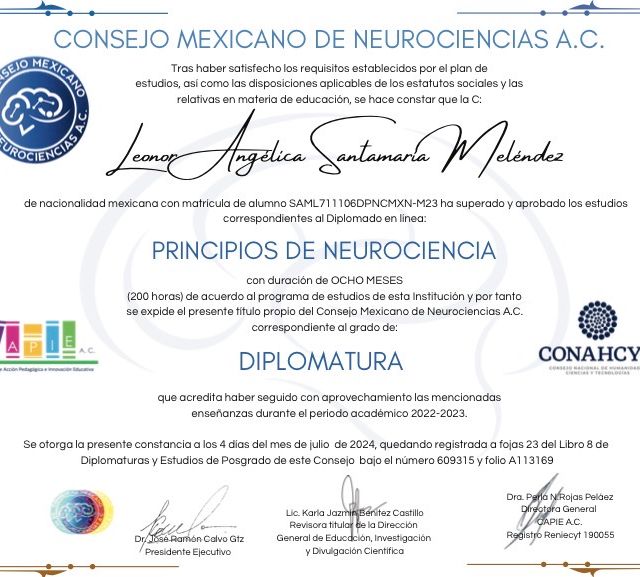 Ampliar imagen: certificate 6