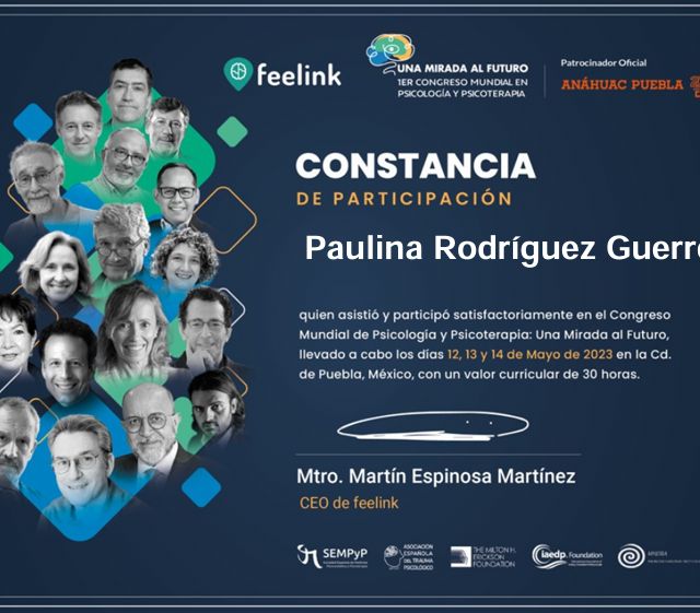 Ampliar imagen: certificate 5