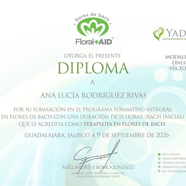 Ampliar imagen: certificate 6