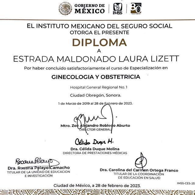 Ampliar imagen: certificate 1