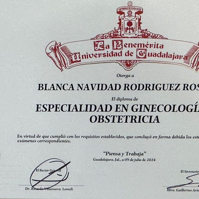 Ampliar imagen: certificate 2
