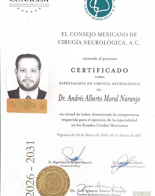 Ampliar imagen: certificate 1