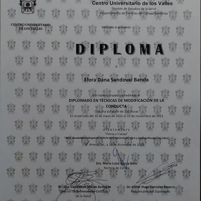 Ampliar imagen: certificate 3