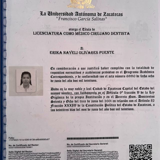 Ampliar imagen: certificate 3