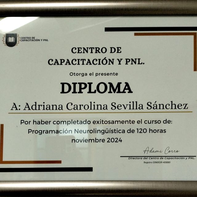 Ampliar imagen: certificate 6