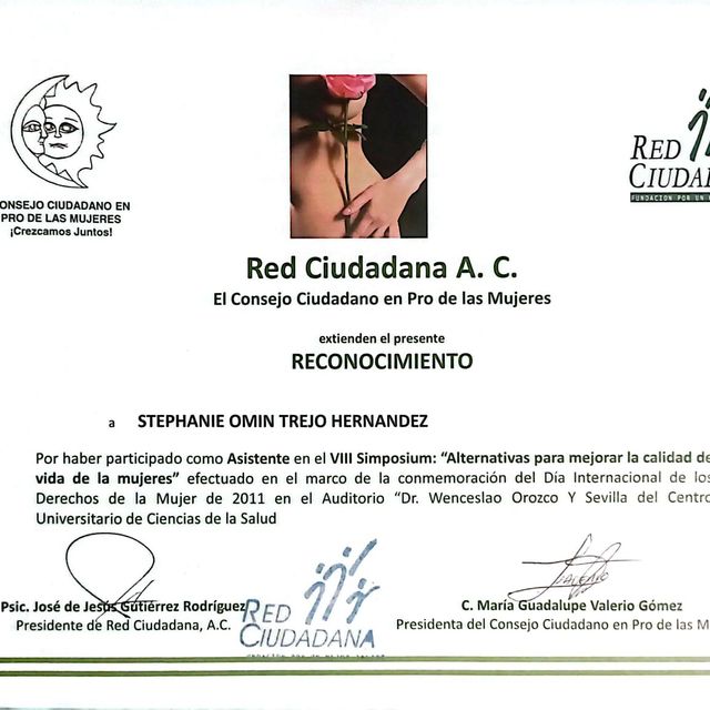 Ampliar imagen: certificate 4